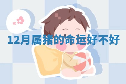 今日农历2025年六月初四黄历婚姻登记推荐吗,领证吉日