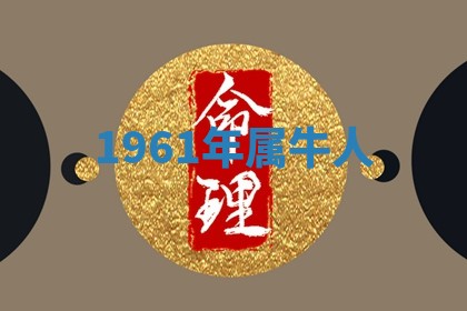 八字五行与田姓：2026年03月02日出生女宝宝的理想名字分析