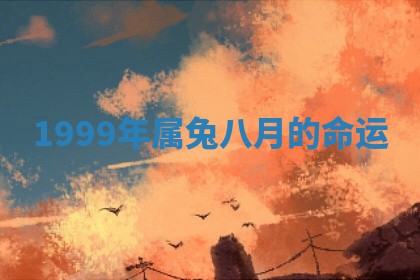 今日农历2025年六月初四黄历婚姻登记推荐吗,领证吉日