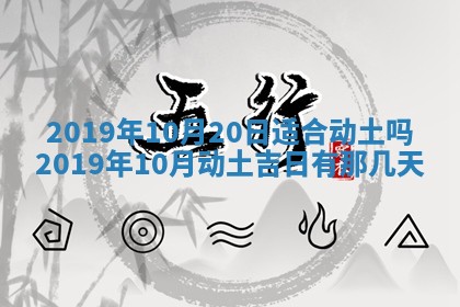2026年02月19日出生徐姓男宝宝八字五行取名禁忌与建议