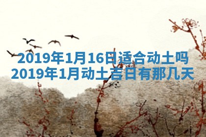 2026年02月19日出生徐姓男宝宝八字五行取名禁忌与建议