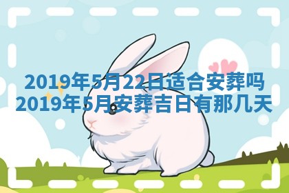 2026年02月19日出生徐姓男宝宝八字五行取名禁忌与建议