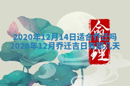 打麻将方位查询 2026年01月26日