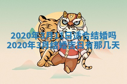 2026年02月19日出生徐姓男宝宝八字五行取名禁忌与建议