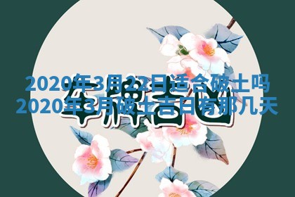 2026年02月19日出生徐姓男宝宝八字五行取名禁忌与建议