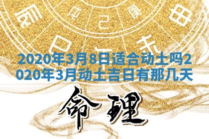 2026年02月19日出生徐姓男宝宝八字五行取名禁忌与建议