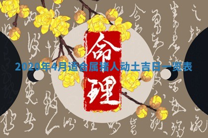 蒋姓2026/02/09出生男宝宝起名全攻略：名字推荐与禁忌字分析