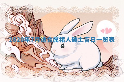 2026年02月19日出生徐姓男宝宝八字五行取名禁忌与建议