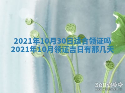 白姓女宝宝起名大全：2026年02月25日生辰八字喜用神分析