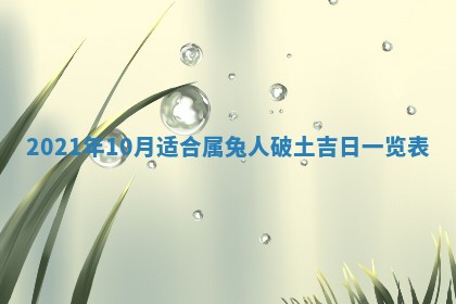 白姓女宝宝起名大全：2026年02月25日生辰八字喜用神分析