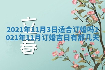 白姓女宝宝起名大全：2026年02月25日生辰八字喜用神分析