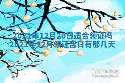 2026.03.15生的贾姓女宝宝取名常见误区与高分名字推荐