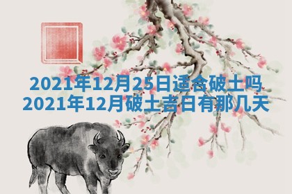 2026.03.15生的贾姓女宝宝取名常见误区与高分名字推荐