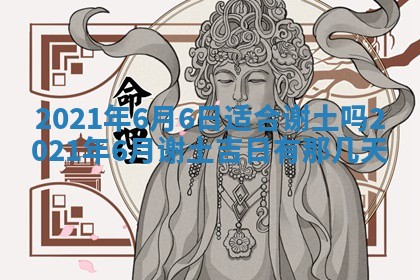 今日是否推荐装门,安门2025年6月17日黄历分析