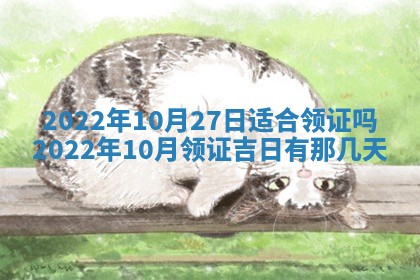 毛姓2026/03/19出生女宝宝起名全攻略：名字推荐与禁忌字分析