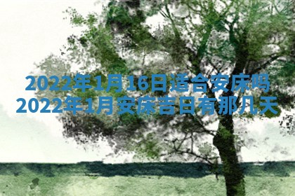 毛姓2026/03/19出生女宝宝起名全攻略：名字推荐与禁忌字分析