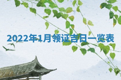 2026年02月08日许姓女宝宝起名必读：八字喜忌用字详解