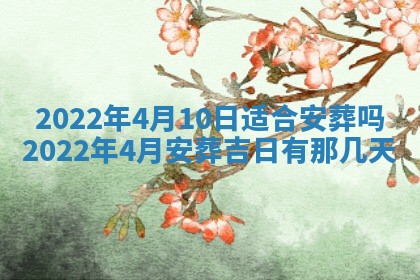 毛姓2026/03/19出生女宝宝起名全攻略：名字推荐与禁忌字分析