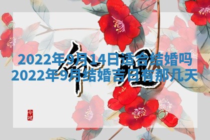 2026年01月21日财神方位,每日查询