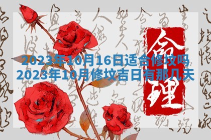 2026年02月18日杜姓女宝宝起名必读：八字喜忌用字详解