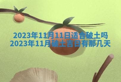 毛姓2026/01/30出生男宝宝起名全攻略：名字推荐与禁忌字分析