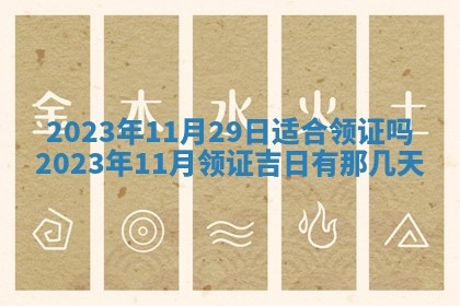 毛姓2026/03/19出生女宝宝起名全攻略：名字推荐与禁忌字分析
