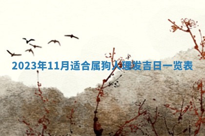 毛姓2026/01/30出生男宝宝起名全攻略：名字推荐与禁忌字分析