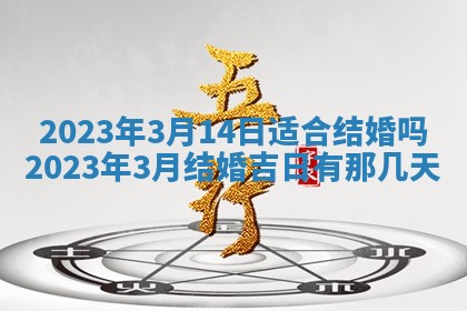 毛姓2026/03/19出生女宝宝起名全攻略：名字推荐与禁忌字分析