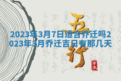 毛姓2026/01/30出生男宝宝起名全攻略：名字推荐与禁忌字分析