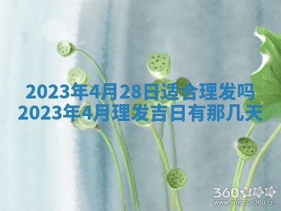2026年01月19日每日财神方位