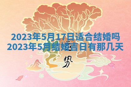 毛姓2026/03/19出生女宝宝起名全攻略：名字推荐与禁忌字分析