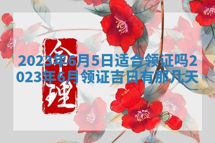 2026年02月18日杜姓女宝宝起名必读：八字喜忌用字详解