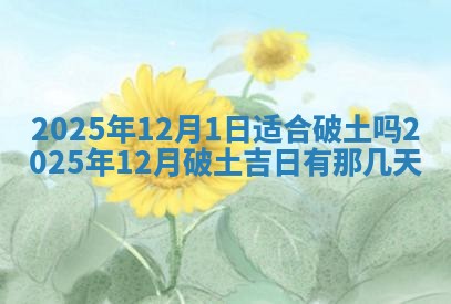 2025年6月20日推荐商业启动吗,这天开业合适吗