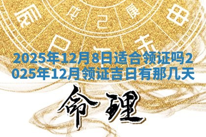 今日农历2025年五月廿六黄历新店开张适合吗,开业吉日