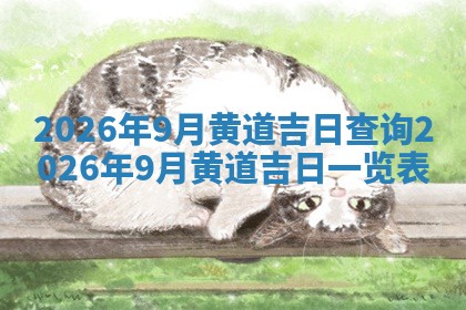 2026年01月08日打牌打麻将财神方向