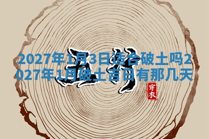 今日农历2025年五月廿六黄历新店开张适合吗,开业吉日