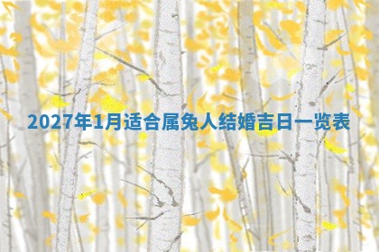 今日农历2025年五月廿六黄历新店开张适合吗,开业吉日
