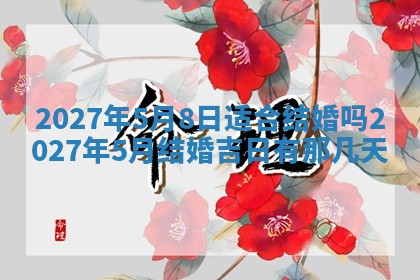 徐姓2026年02月08日出生女孩子取名宜用字大全