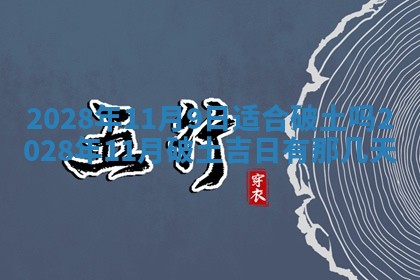 2026年02月08日许姓女宝宝起名必读：八字喜忌用字详解