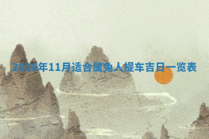 毛姓2026/01/30出生男宝宝起名全攻略：名字推荐与禁忌字分析