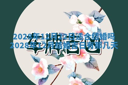 2026年02月08日许姓女宝宝起名必读：八字喜忌用字详解