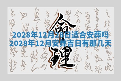 毛姓2026/03/19出生女宝宝起名全攻略：名字推荐与禁忌字分析