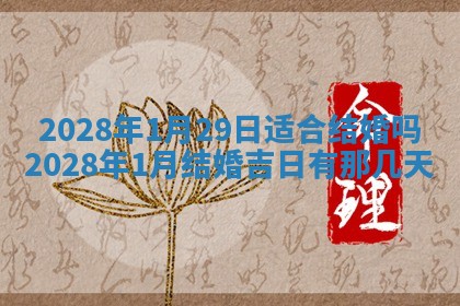 文姓男孩子名字推荐：2026年02月14日出生宝宝的吉祥起名
