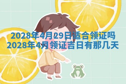 2026.03.15生的贾姓女宝宝取名常见误区与高分名字推荐