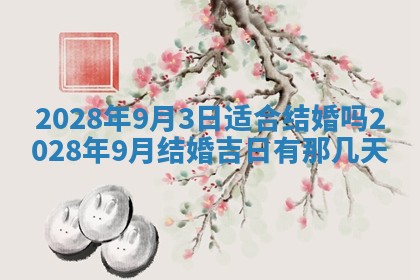 毛姓2026/03/19出生女宝宝起名全攻略：名字推荐与禁忌字分析
