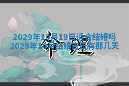 黄历2025年6月27日动土适宜吗