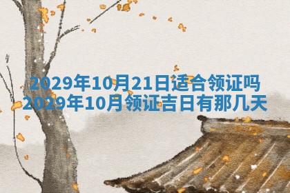 黄历2025年6月27日动土适宜吗