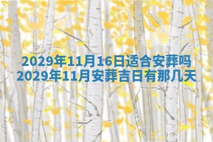 2026年01月24日麻将财神方向
