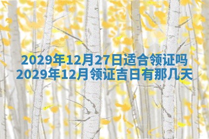 黄历2025年6月27日动土适宜吗