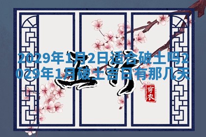 毛姓2026/03/19出生女宝宝起名全攻略：名字推荐与禁忌字分析